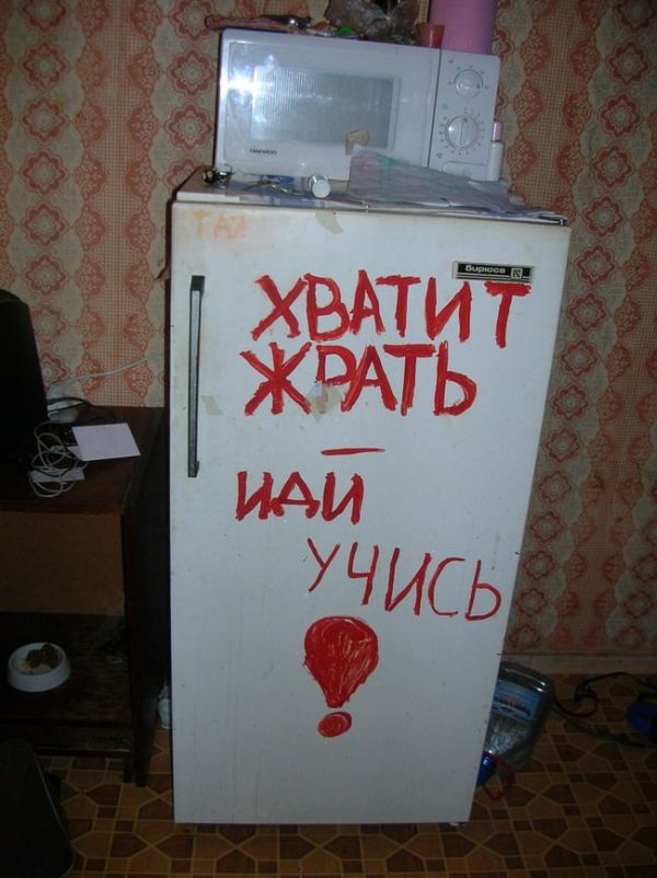 600x802, 74 Kb / холодильник, хватит жрать
