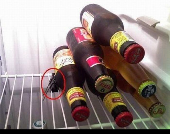 700x554, 55 Kb / пиво, холодильник, держатель бумаги