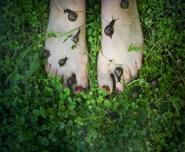 700x578, 184 Kb / Ноги, Клевер, Улитки, Лето