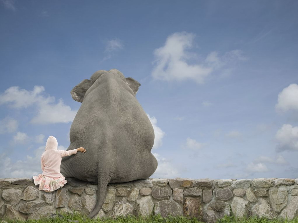 1021x765, 128 Kb / слон, девочка