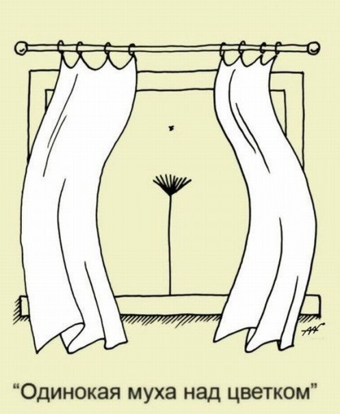 497x604, 64 Kb / муха, картинка