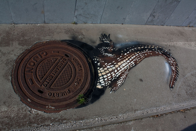 640x427, 182 Kb / крокодил, люк,граффити