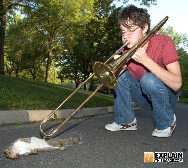 604x539, 93 Kb / wtf, белка, труба