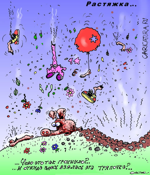 514x600, 100 Kb / свинья, растяжка, хуй