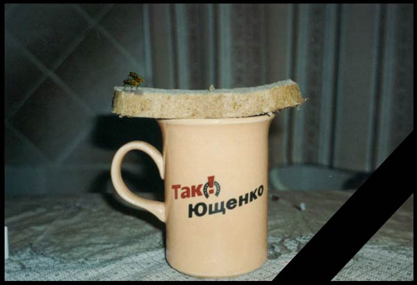 600x411, 25 Kb / кружка, хлеб, мухи, ющенко, так