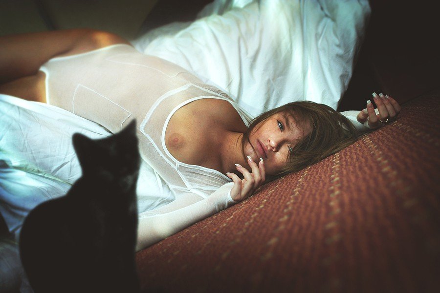 900x600, 73 Kb / боди, кот, сиська, пол, кровать, ковер