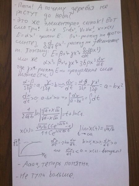 450x600, 47 Kb / папа, задача, деревья, небо