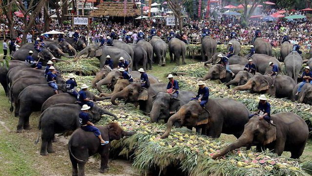 639x361, 127 Kb / слоны