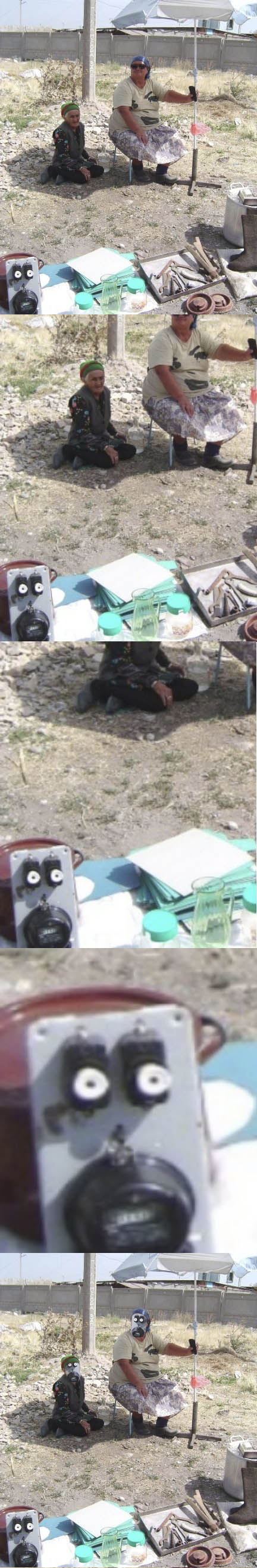 432x2633, 193 Kb / бабки, счетчикоголовые