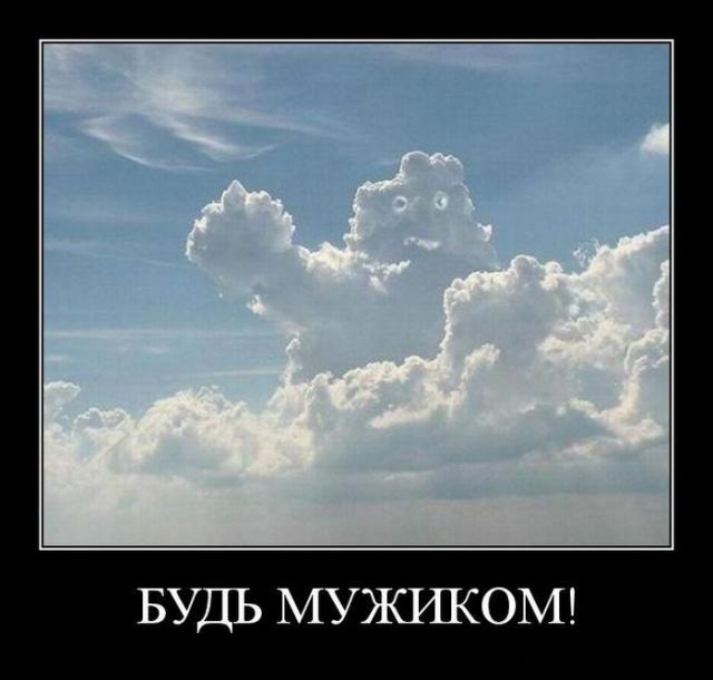 640x610, 40 Kb / демотиватор, мужик, небо, тучи, блеять