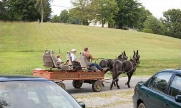 629x375, 61 Kb / телега