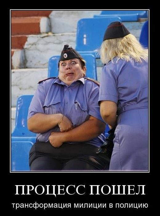 520x700, 75 Kb / милиция, полиция