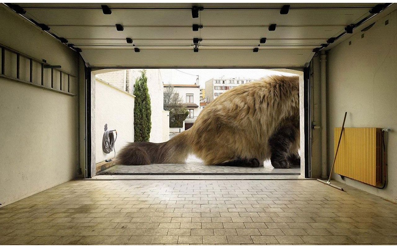 1280x800, 244 Kb / гараж, кот