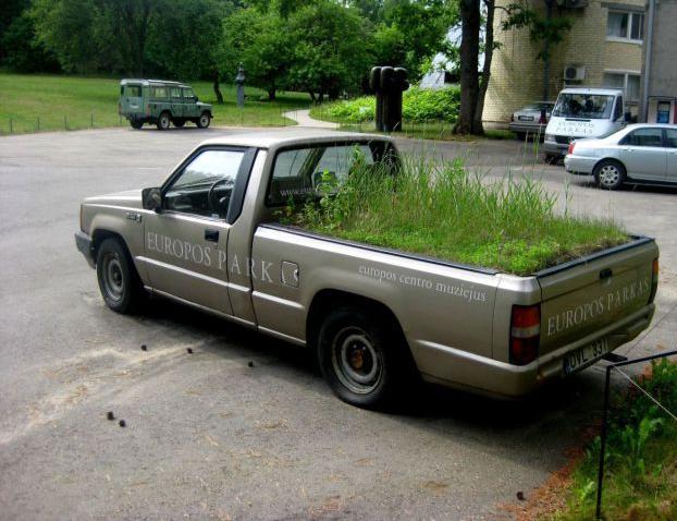 622x478, 56 Kb / газон, авто, реклама