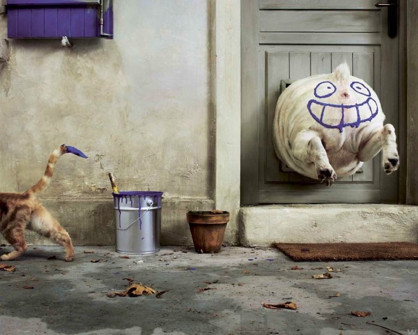 604x484, 92 Kb / краска, рожа, дверь