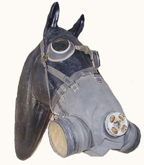 500x574, 46 Kb / Противогаз, лошадь