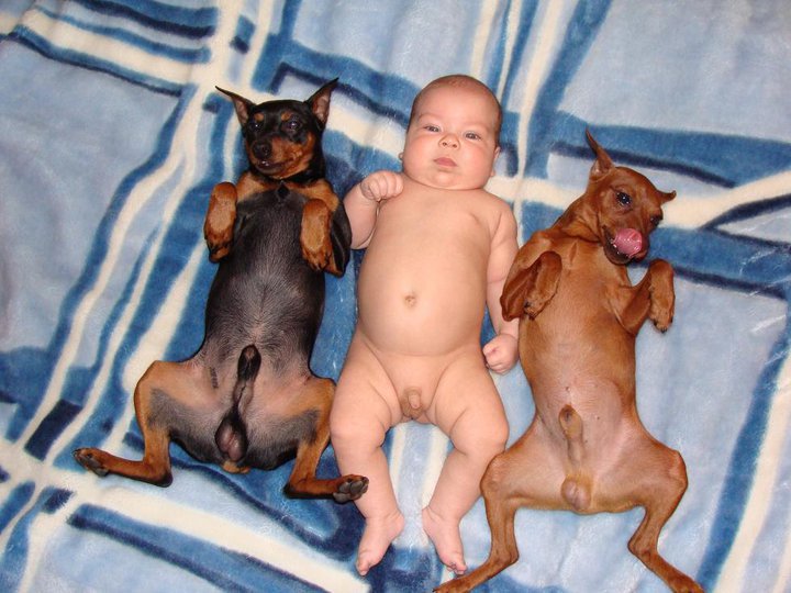 720x540, 85 Kb / ребенок, собаки