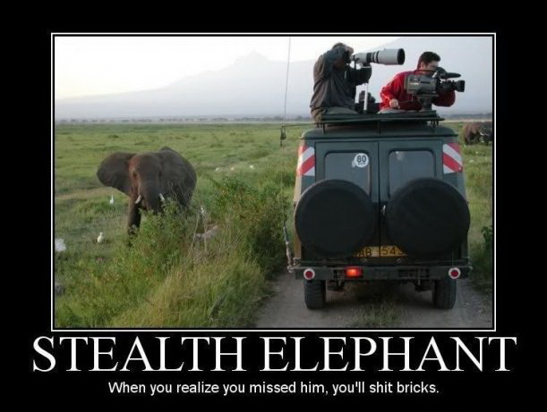 611x461, 61 Kb / слон, невидимка