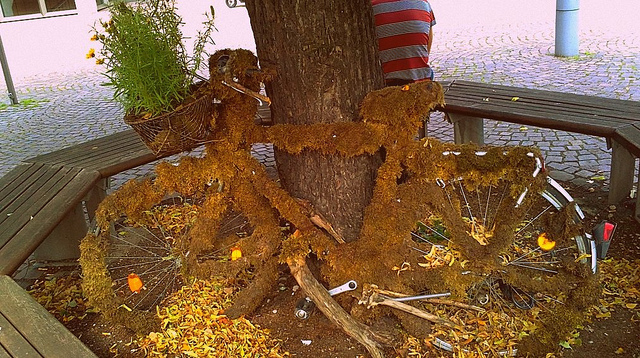 640x358, 224 Kb / дерево, велосипед