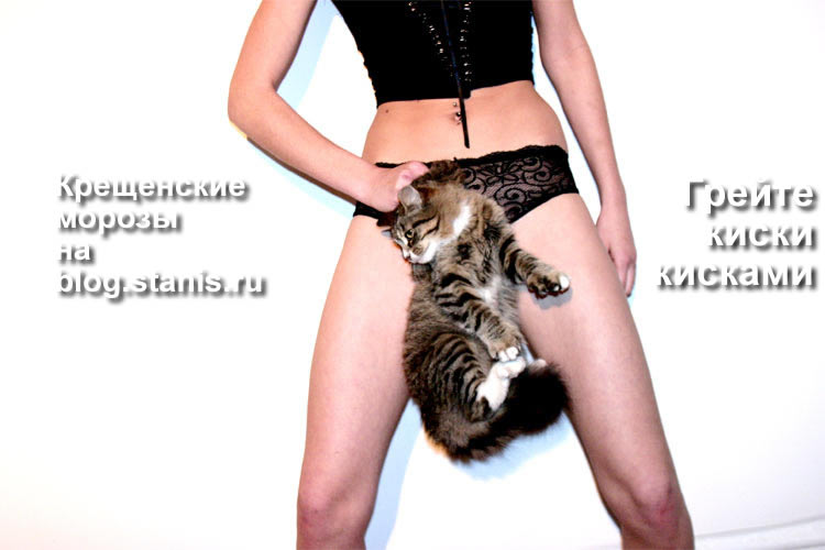 750x500, 43 Kb / кошка, писька