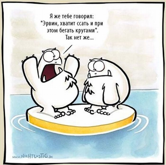 700x694, 73 Kb / льдина