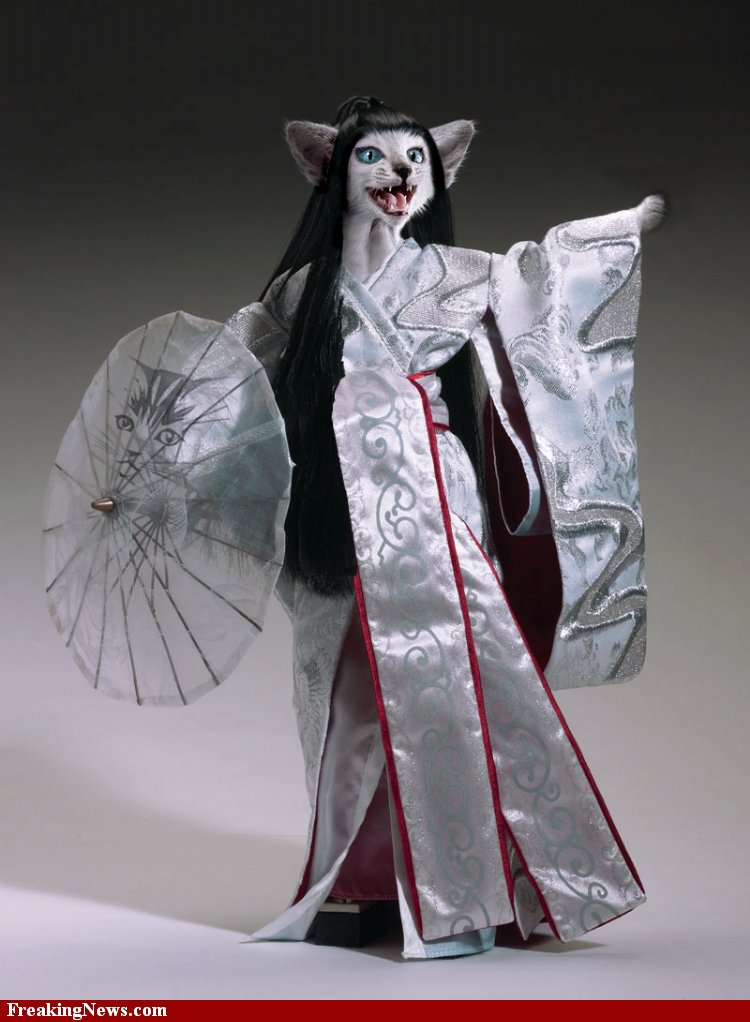 750x1022, 98 Kb / кимоно, зонт, кот, чучело