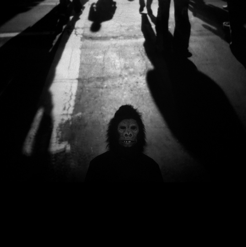 800x801, 82 Kb / тень, обезьяна, ч/б