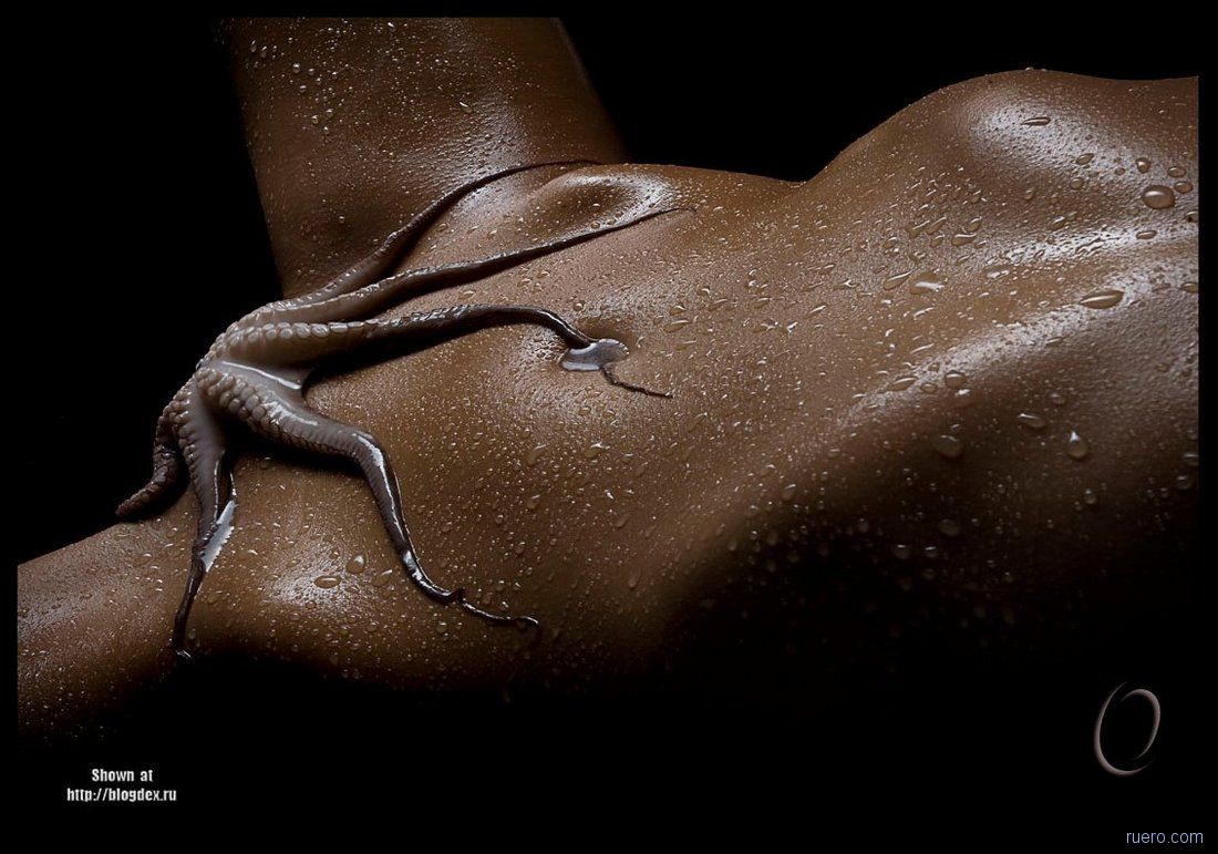 1100x771, 130 Kb / осьминог