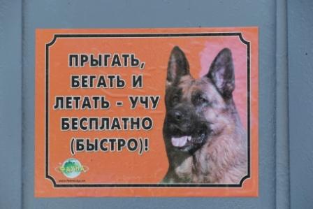 448x299, 45 Kb / собака