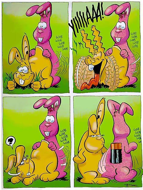 468x622, 98 Kb / батарейка, дюраселл, зайцы, кролики, секс