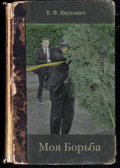 384x537, 53 Kb / моя, борьба, янукович