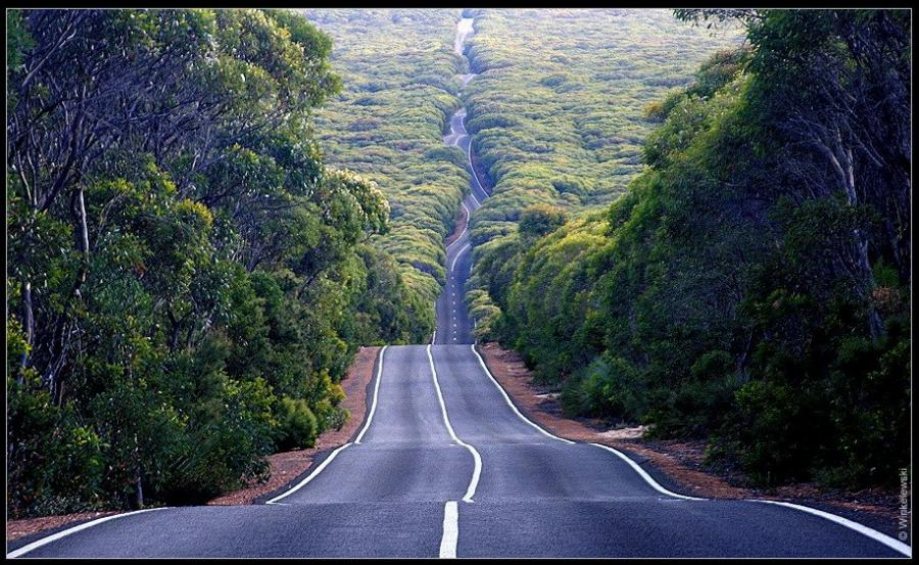 919x565, 138 Kb / дорога