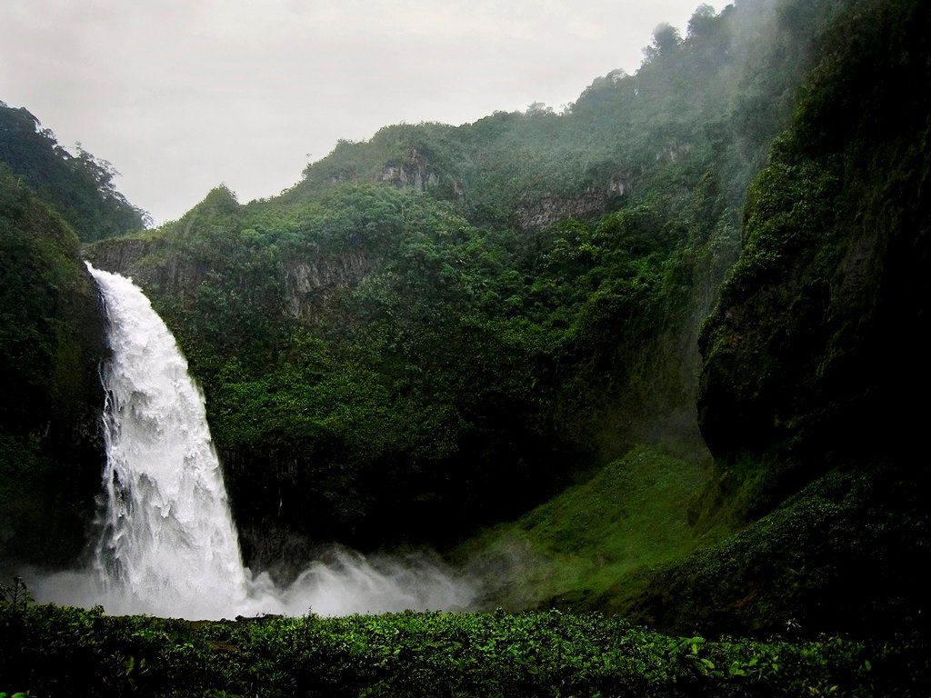 1024x768, 173 Kb / водопад, зелень