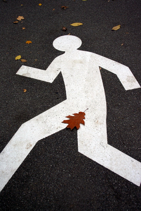 550x826, 196 Kb / адам, лист, клен, пешеход, асфальт, осень