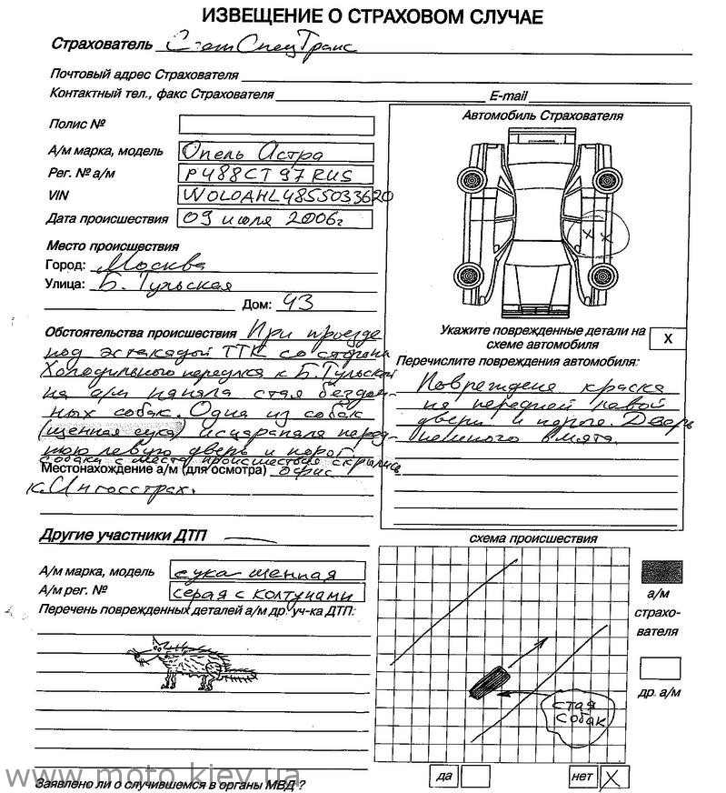 799x872, 280 Kb / собака, сука, страхование, извещение, авария, колтун