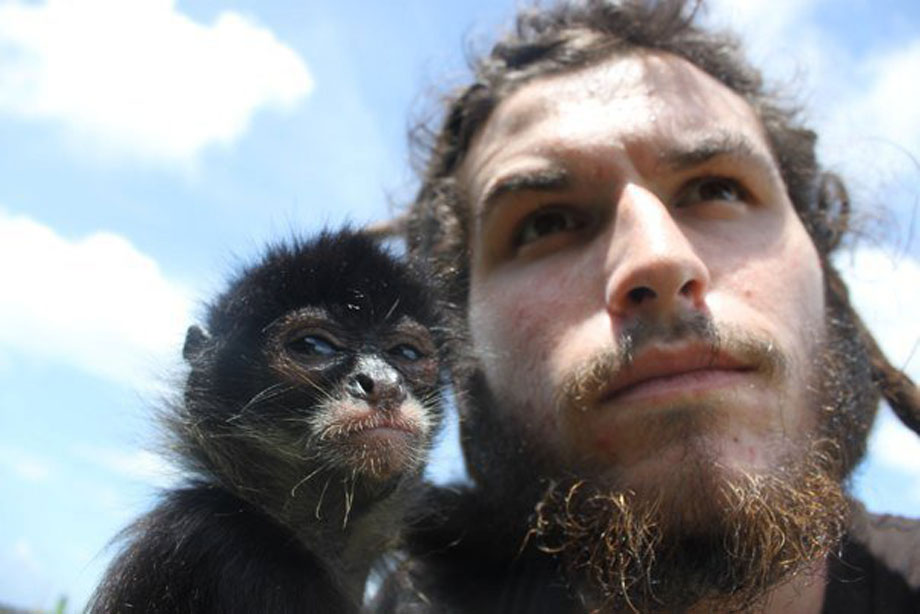 920x614, 75 Kb / обезьяна, человек, борода