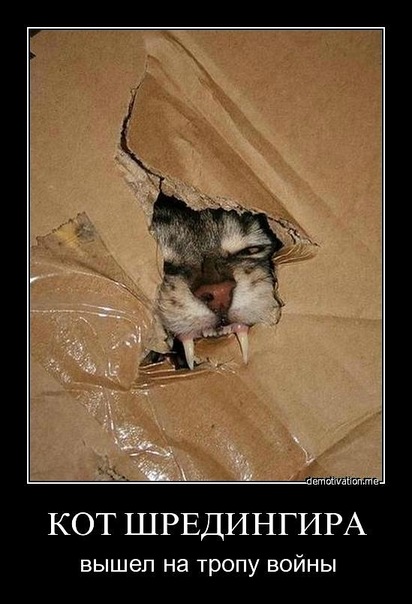 412x604, 70 Kb / кот шредингера