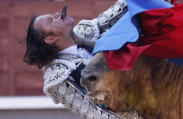 604x392, 58 Kb / рог, горло, был, коррида, тореадор