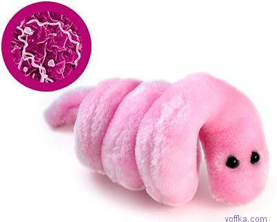 400x320, 16 Kb / вирус, микроб