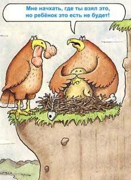 270x371, 27 Kb / хуй, гнездо, птицы