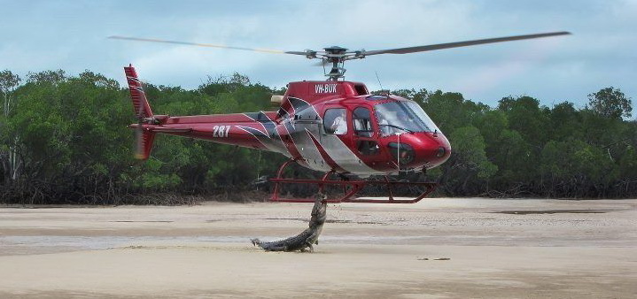 719x338, 87 Kb / веролет, крокодил