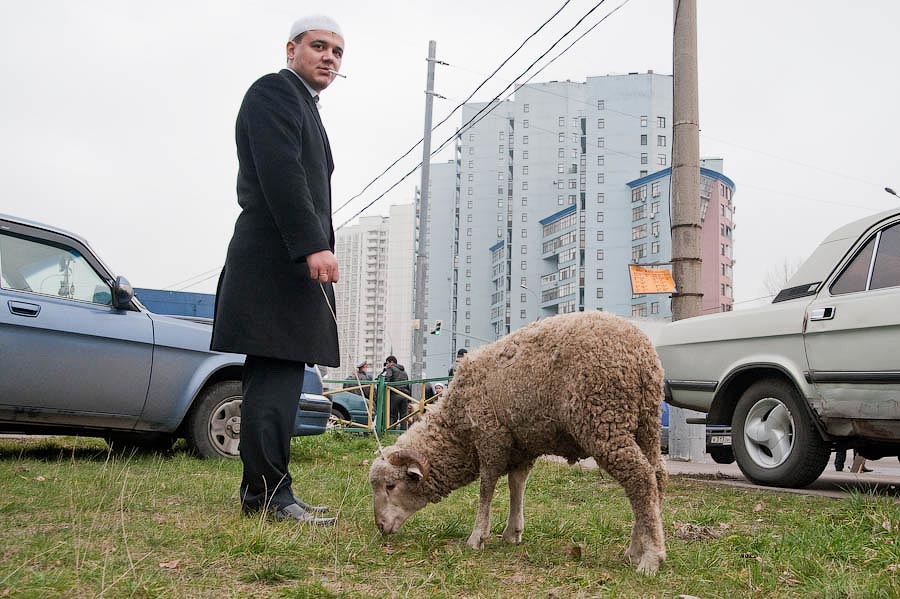 900x599, 113 Kb / курбан байрам