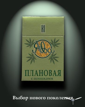 365x457, 16 Kb / наркота, ява, трава