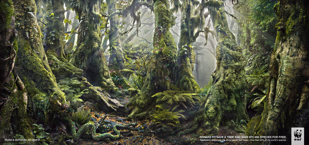 1200x564, 250 Kb / природа, лес и звери