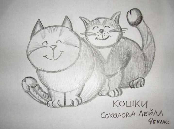 717x532, 108 Kb / коты, члены, рисунок, Лейла, Соколова