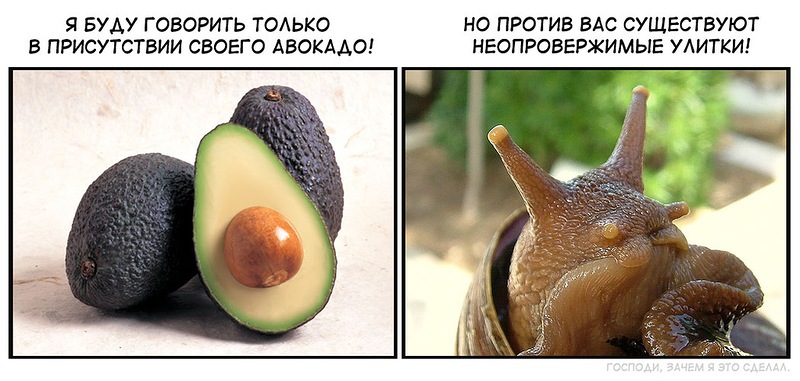 800x381, 101 Kb / адвокат, улики, улитка, авокадо
