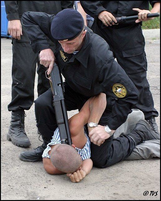 517x644, 76 Kb / вдв, быдло