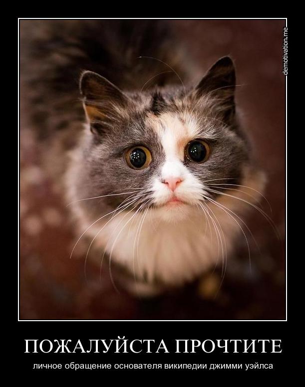 611x776, 51 Kb / википедия