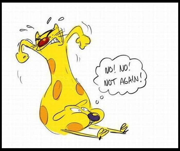 700x587, 49 Kb / котопес, картинки