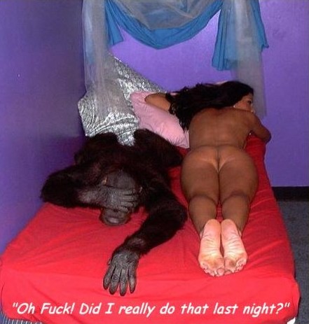 441x463, 45 Kb / обезьяна, секс